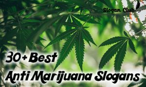 30+ Best Anti Marijuana Slogans - Stop smoking weed