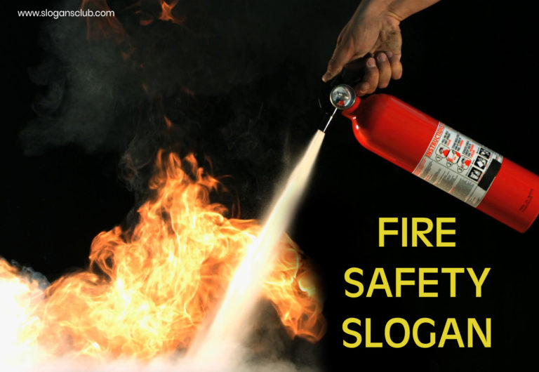 50+ Forest Fire Prevention Slogans